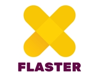 Franquicia Flaster